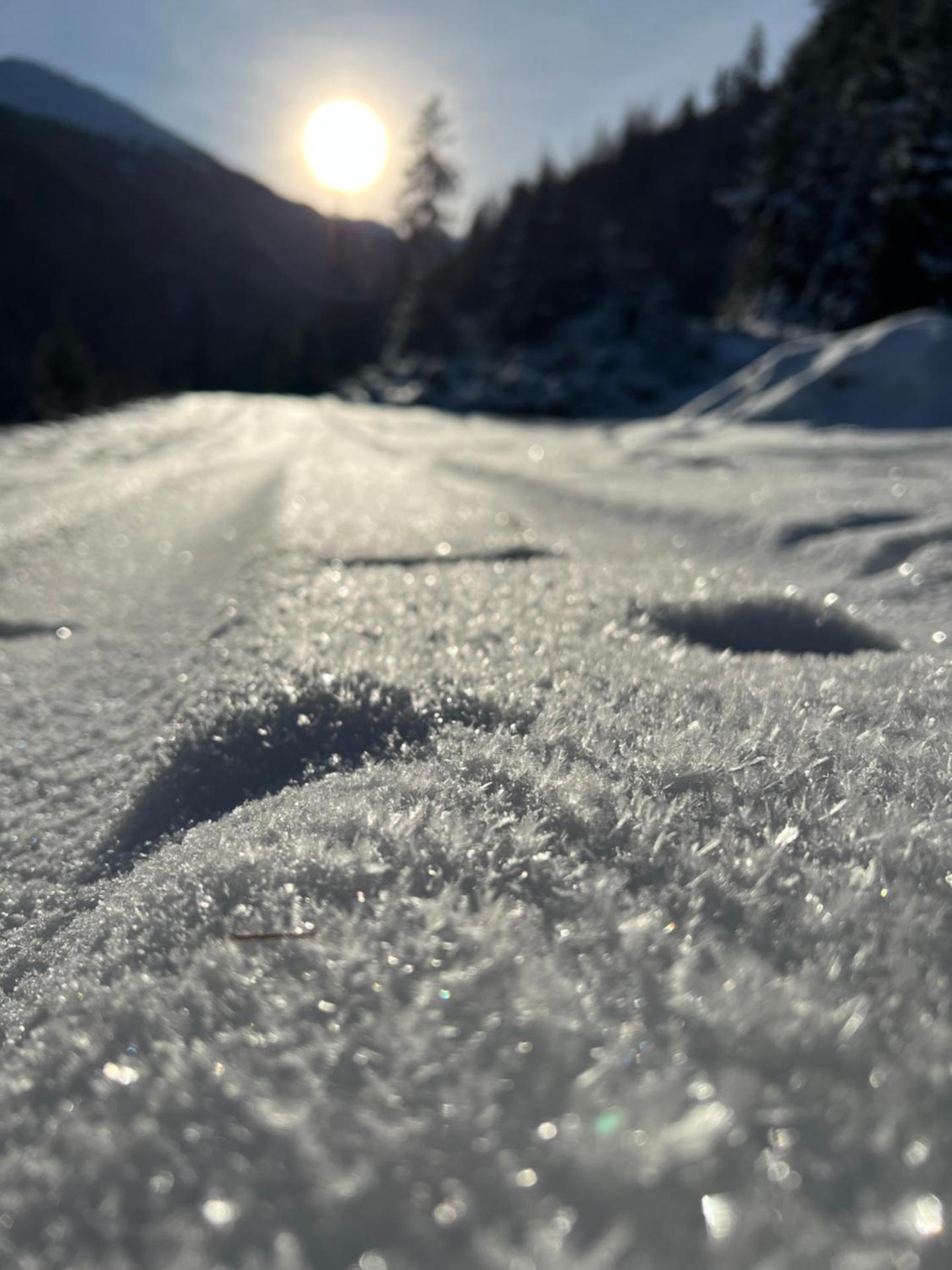 Apart Alpine Retreat 2