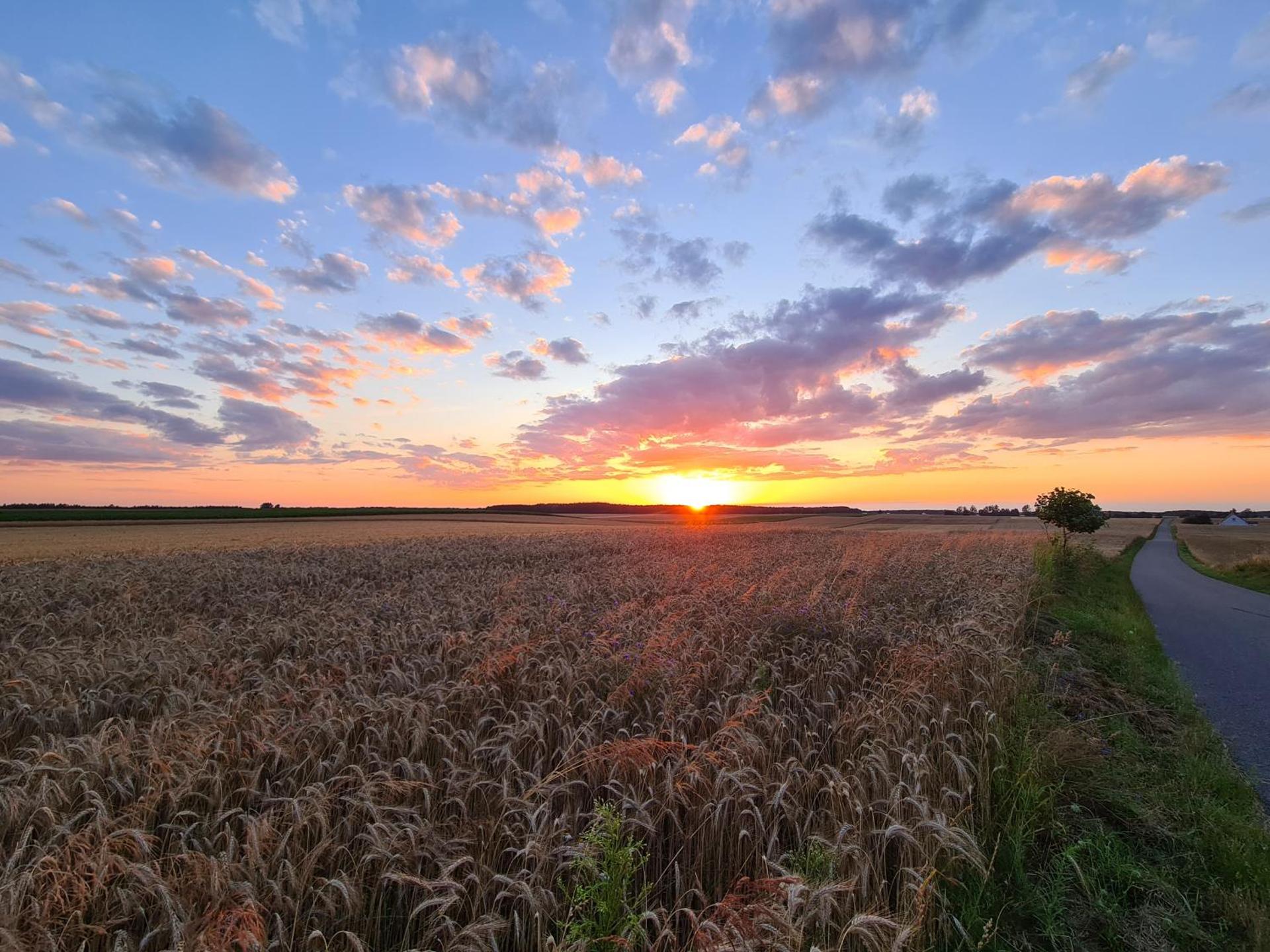 Agroturystyka Wręcza