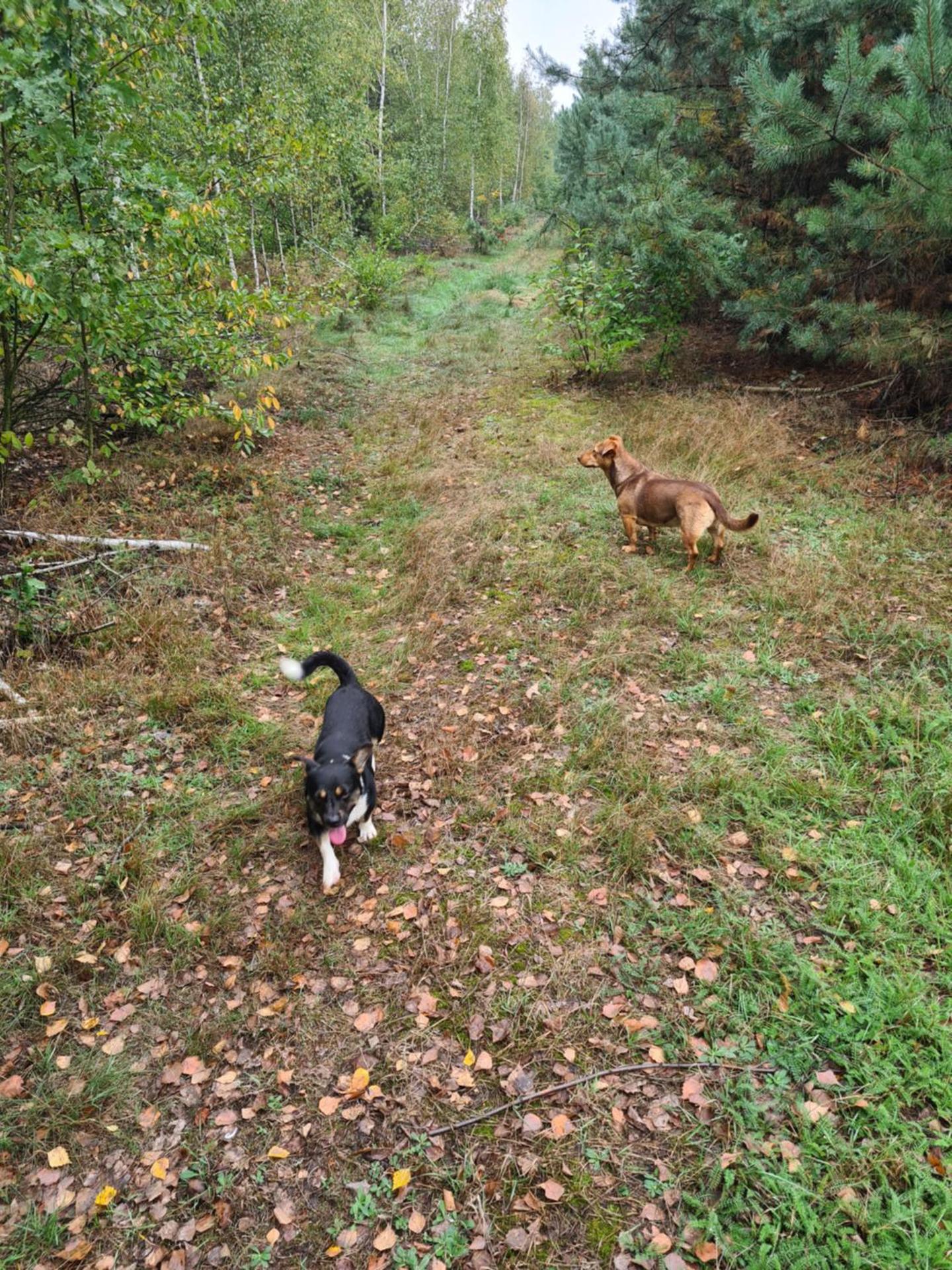 Agroturystyka Wręcza