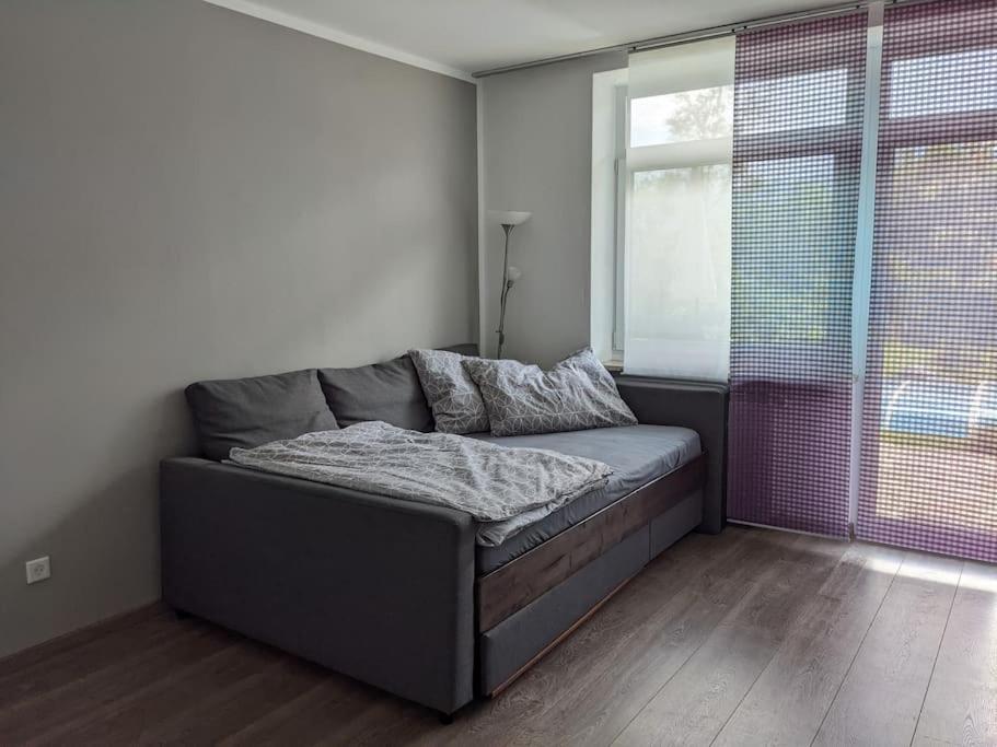 Schöne Wohnung mit Terrasse, Garten und-Pool