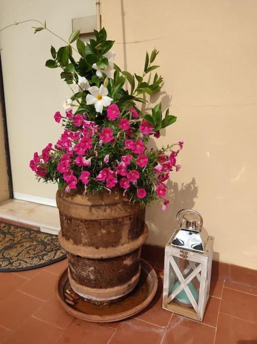 Dalla Isi il giardino sul golfo