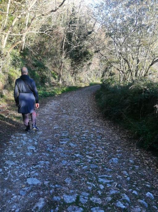Dalla Isi il giardino sul golfo