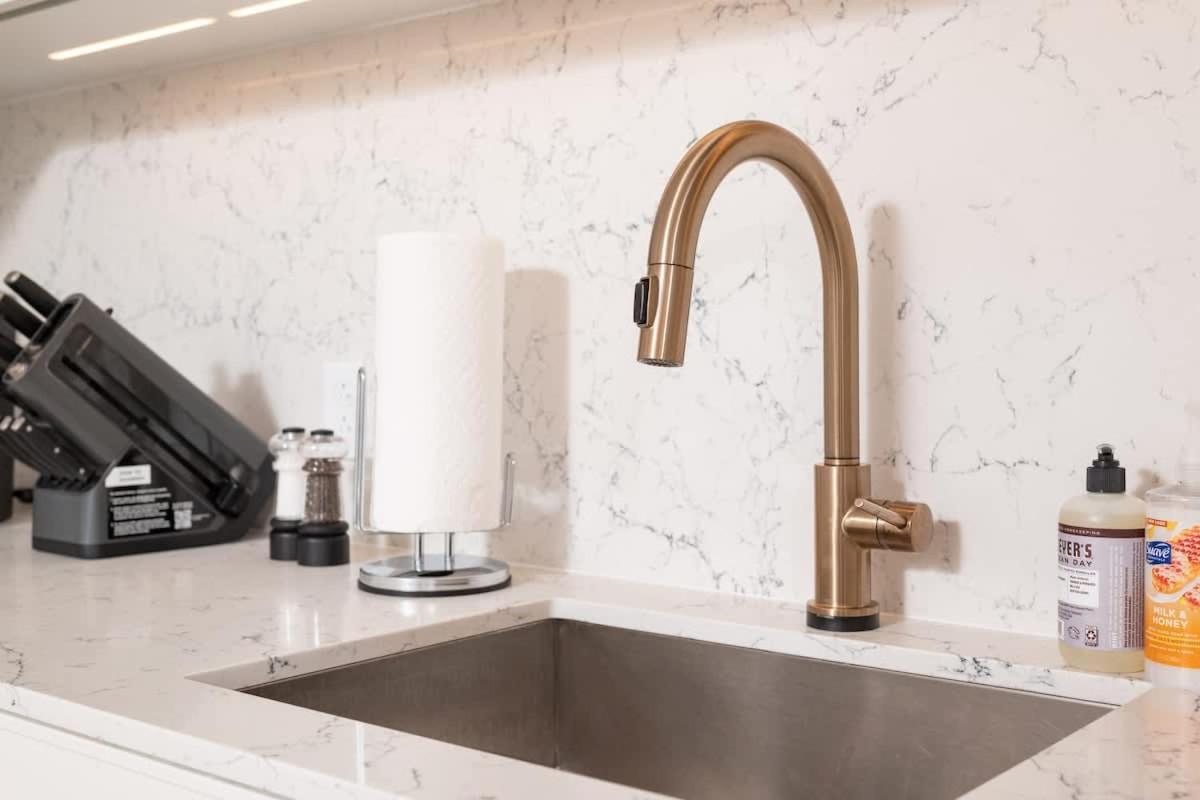 Back-Bay Upscale Central Penthouse W Roof-top