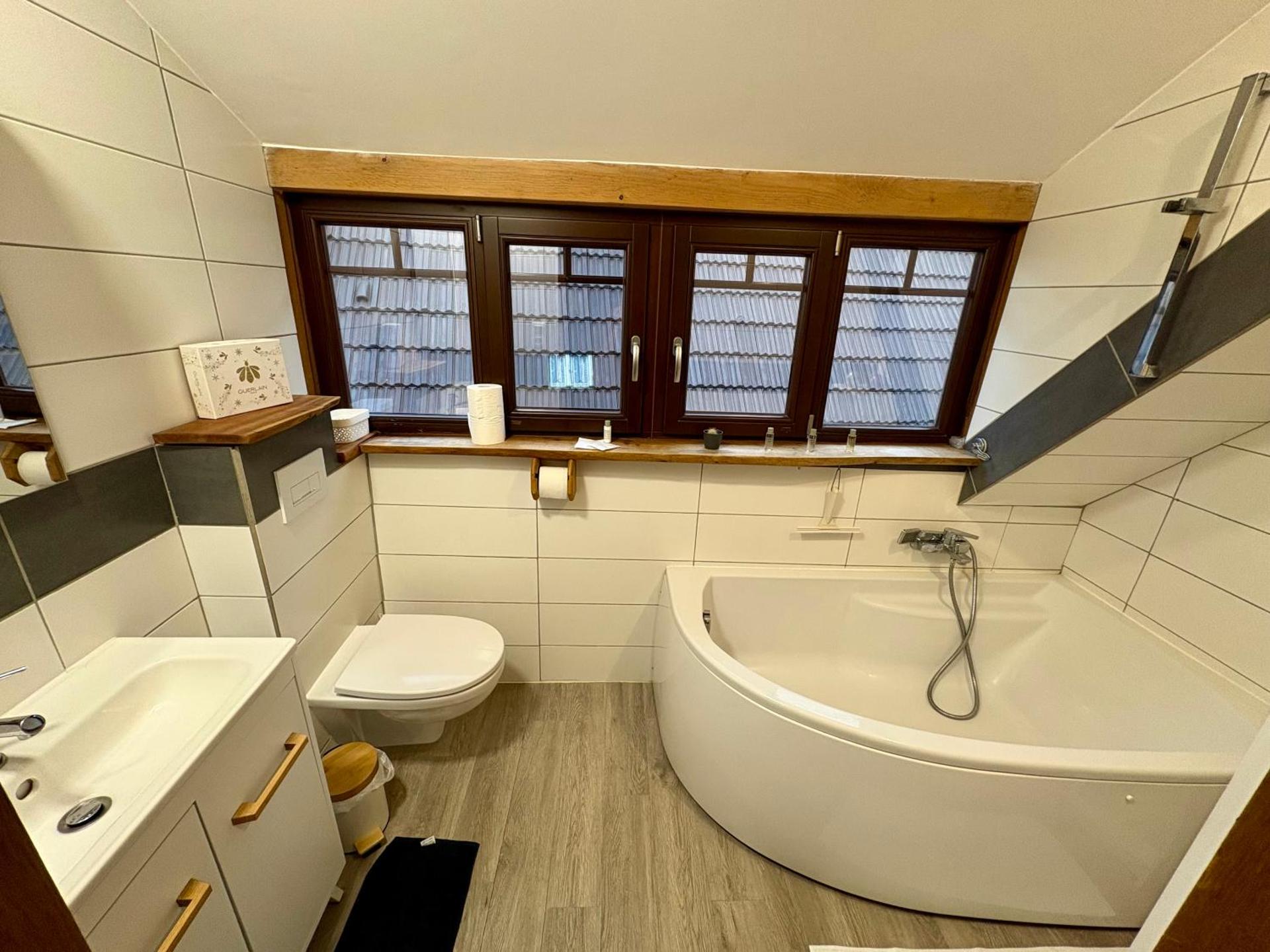 Au cœur du vignoble Alsacien