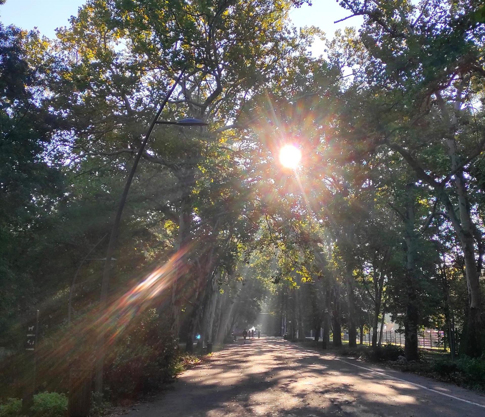 Ultralux magnolia city center Bestern