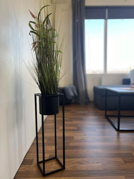 Lakeside Apartments - A