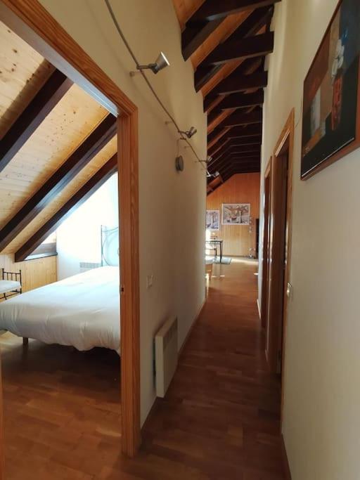 Misalas, Ski y montaña petfriendly - Arafita Apartamentos