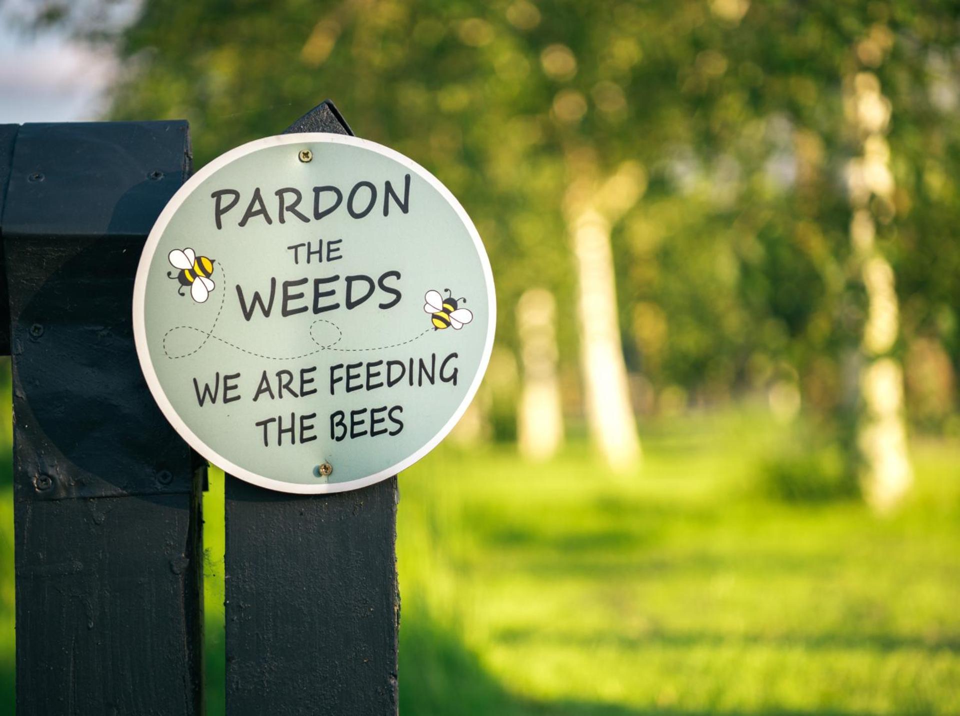 Drift Inn formerly the Waterfront Hotel