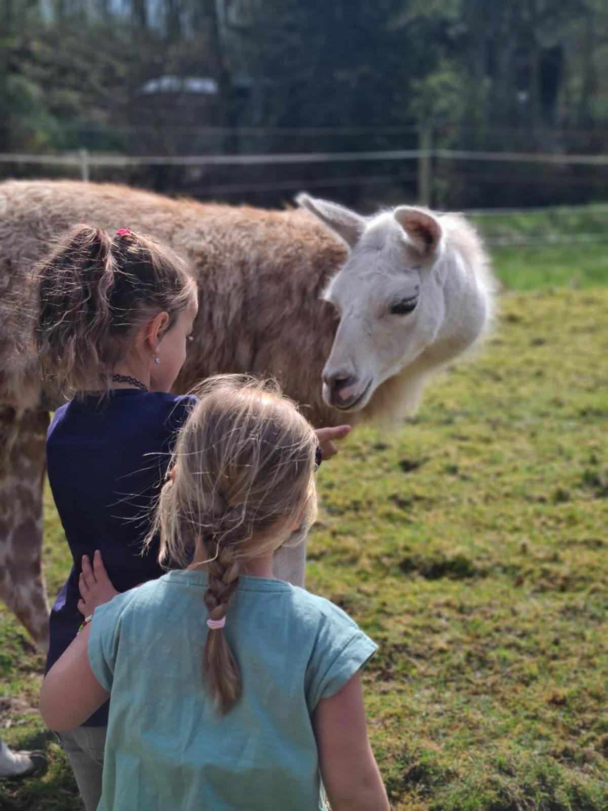 AllerHand Gästezimmer Nohen