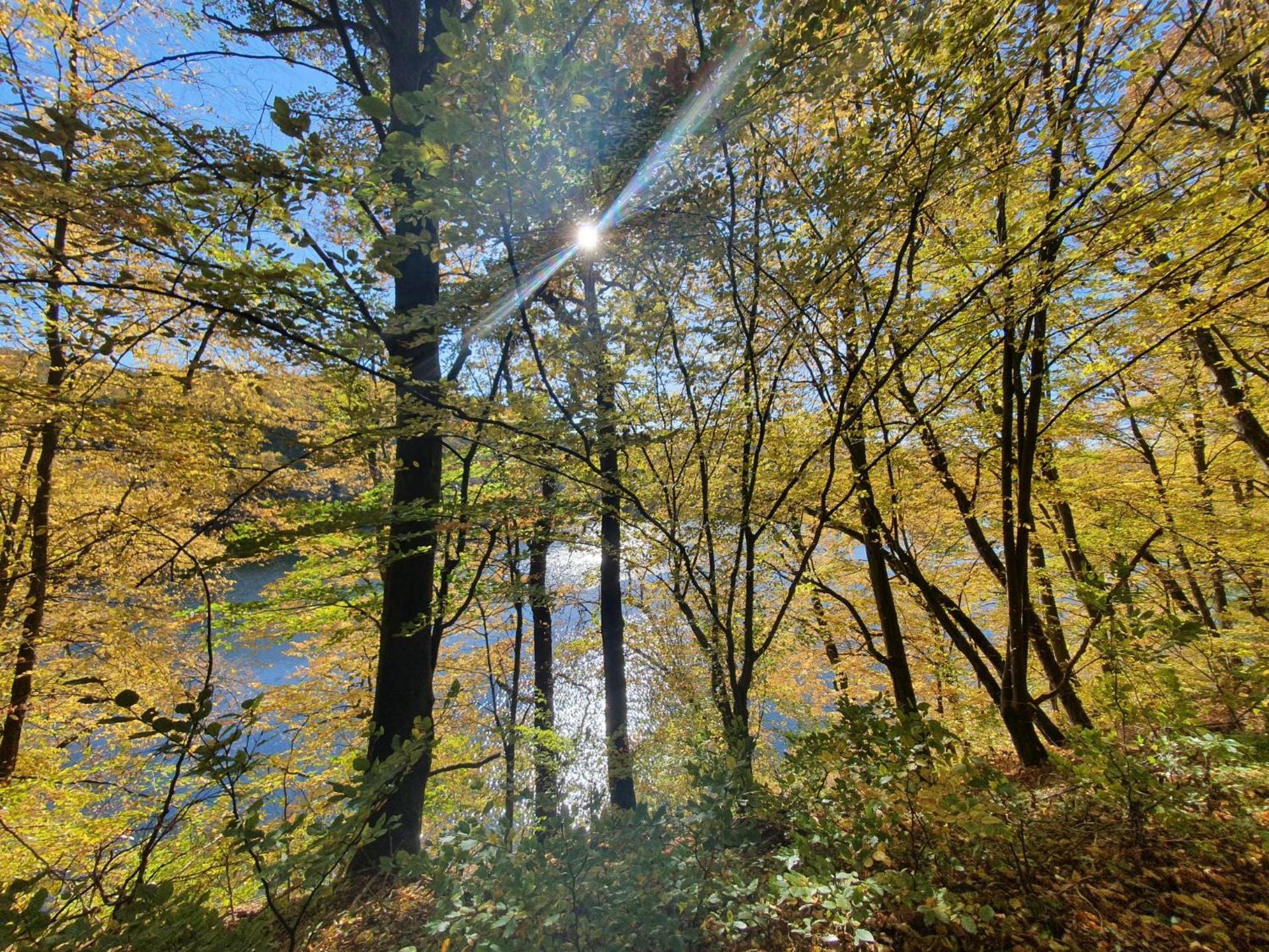 Holiday Home Ferienhaus Bude 92 by Interhome