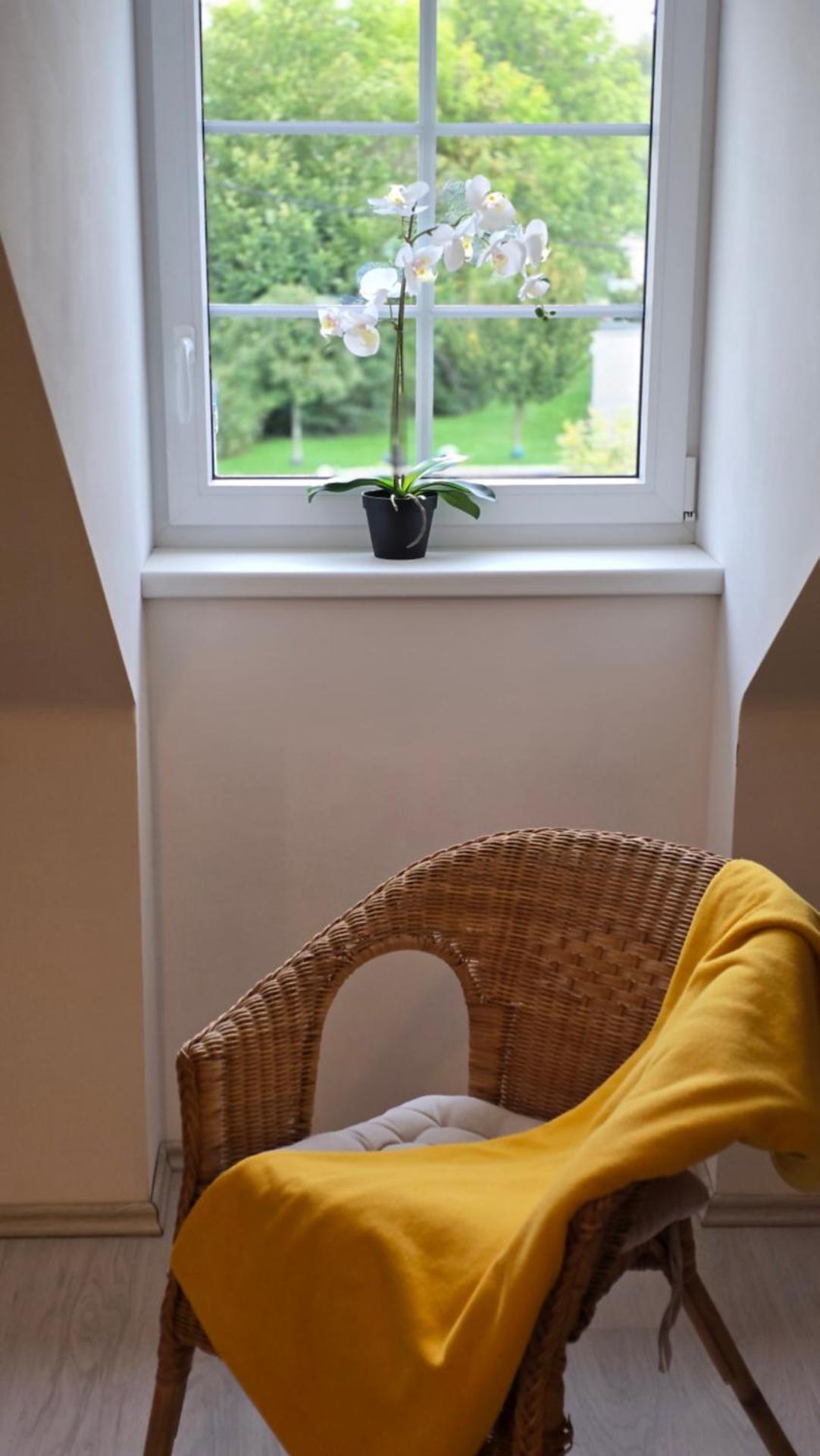 Studio - Café Princ pod Hradem, KLIMA, WiFi