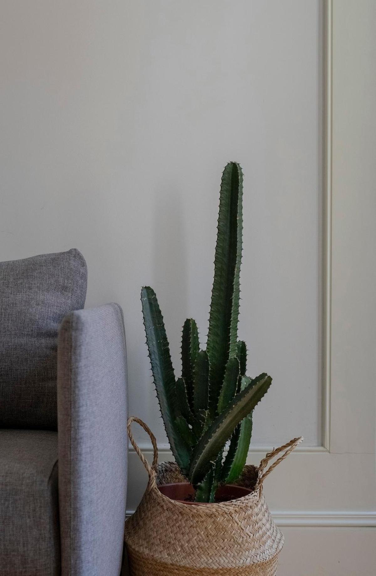 CL Ildefonso III Apartment