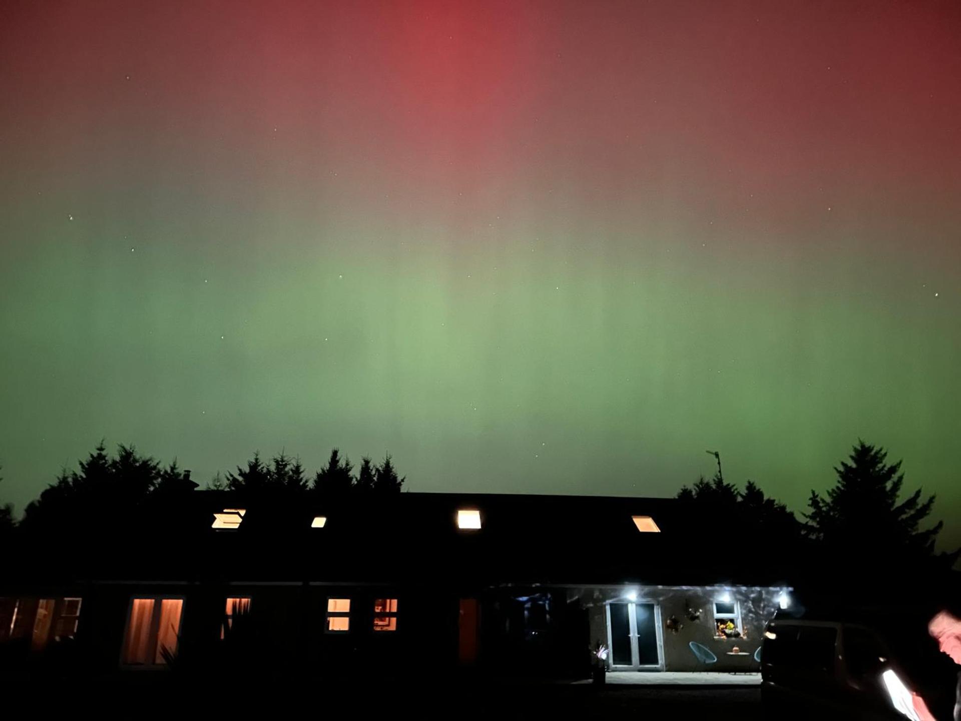 Forest Path luxury Studio Apartment with large bedroom bathroom and sauna Sleeps up to 4