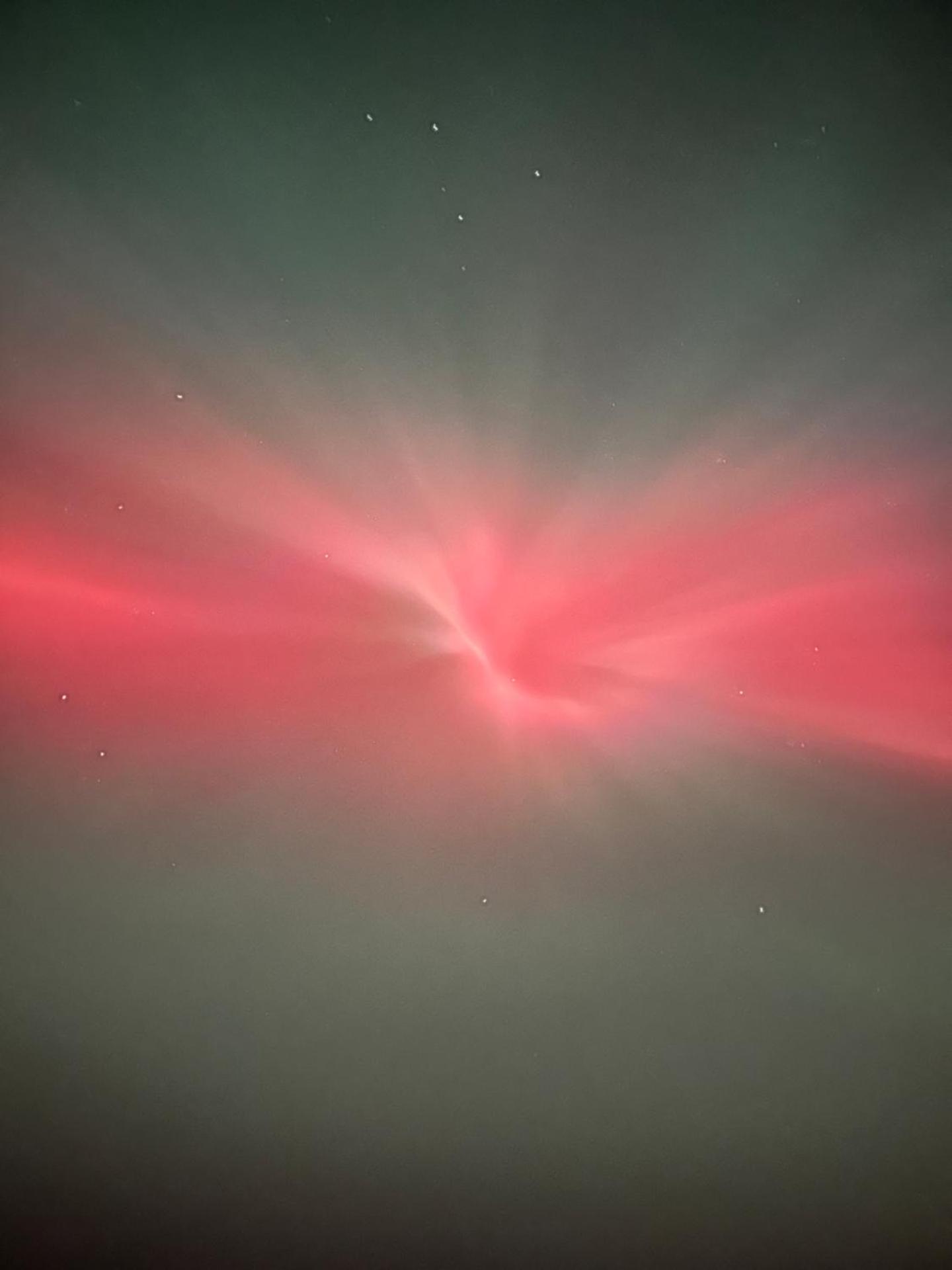 Forest Path luxury Studio Apartment with large bedroom bathroom and sauna Sleeps up to 4