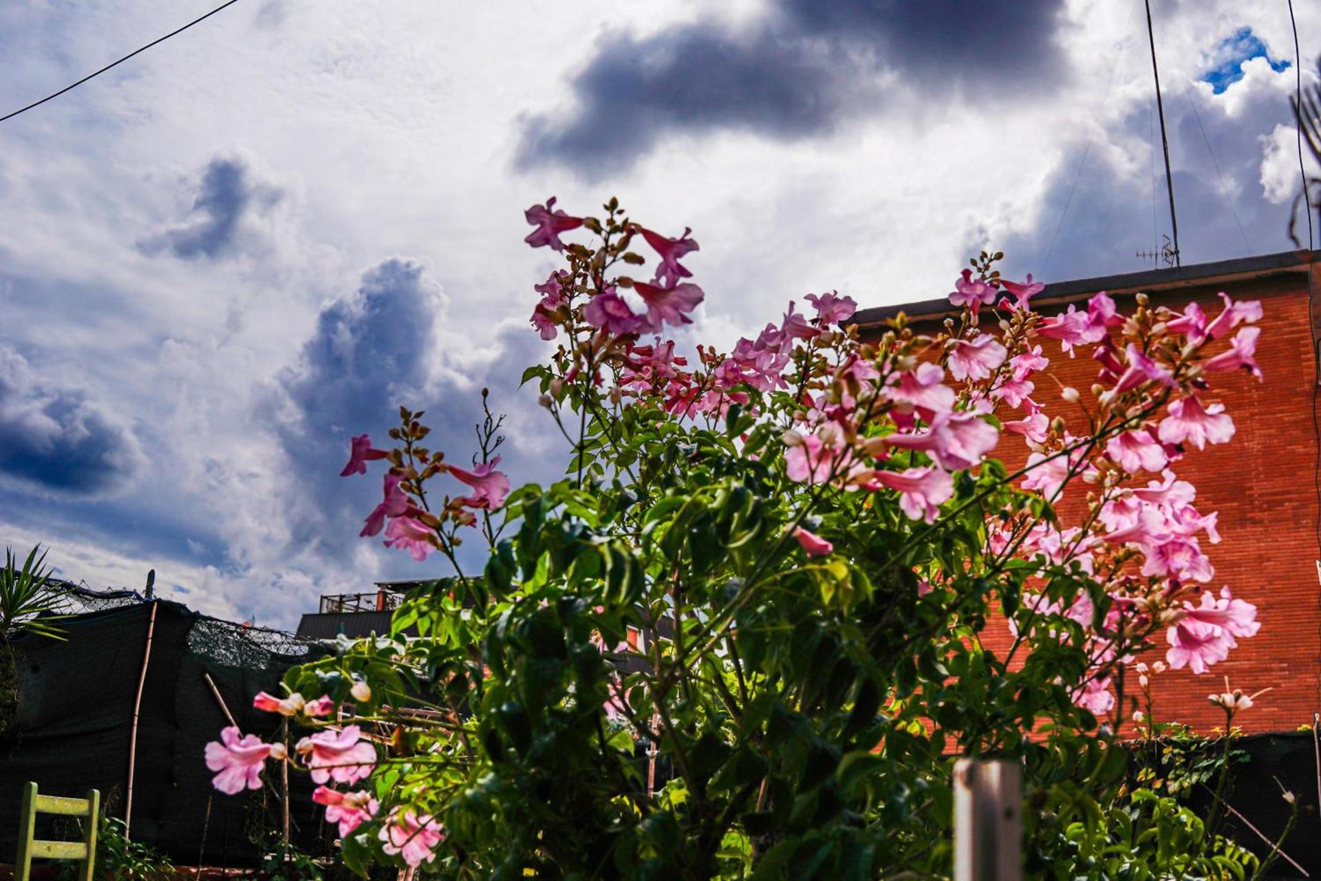 Bed & Breakfast LA TERRAZZA