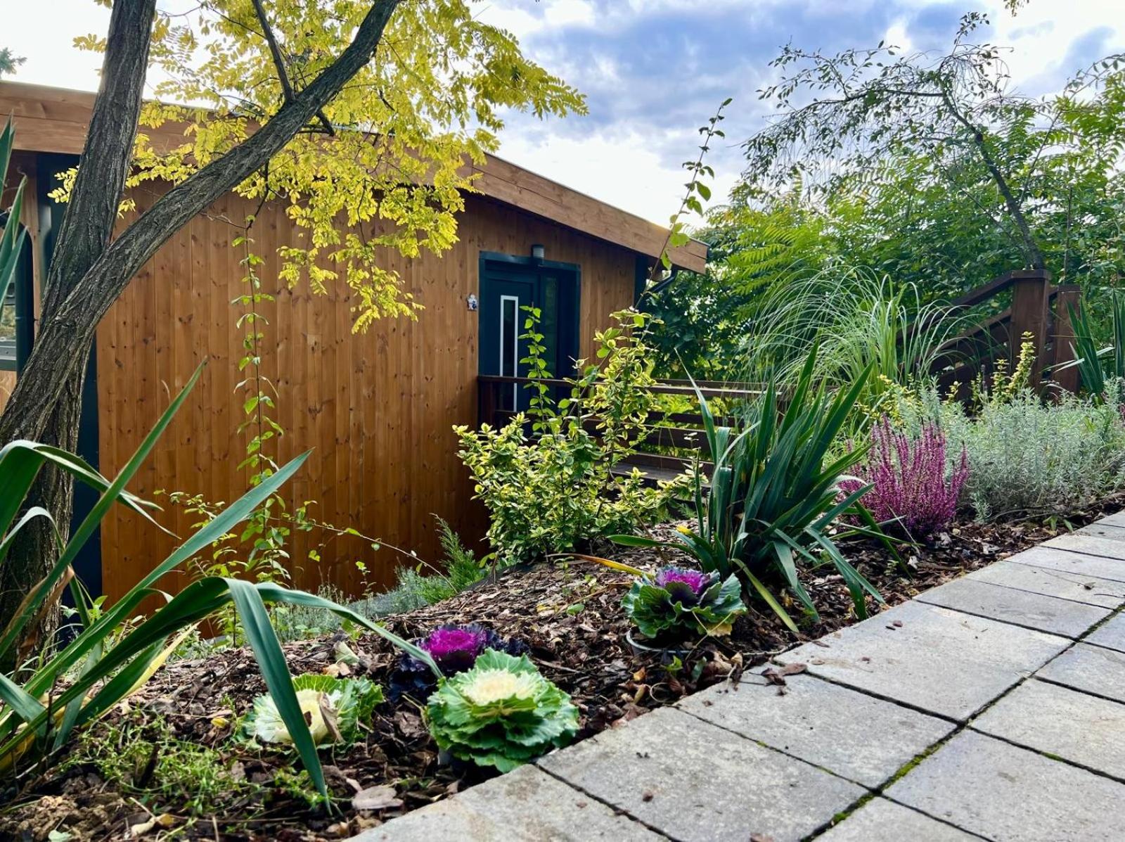 Zebikuckó vendégház