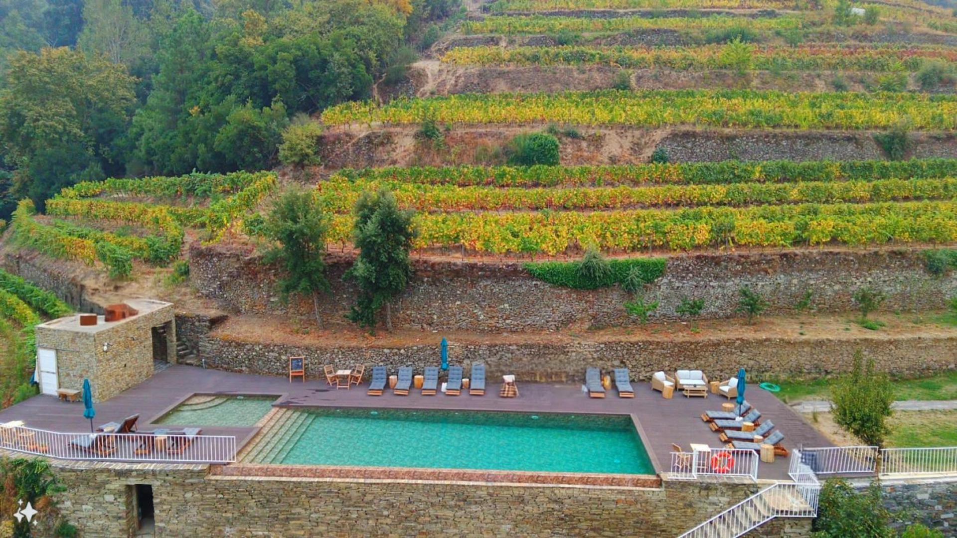 Quinta de Travassinhos- Douro Valley & Spa