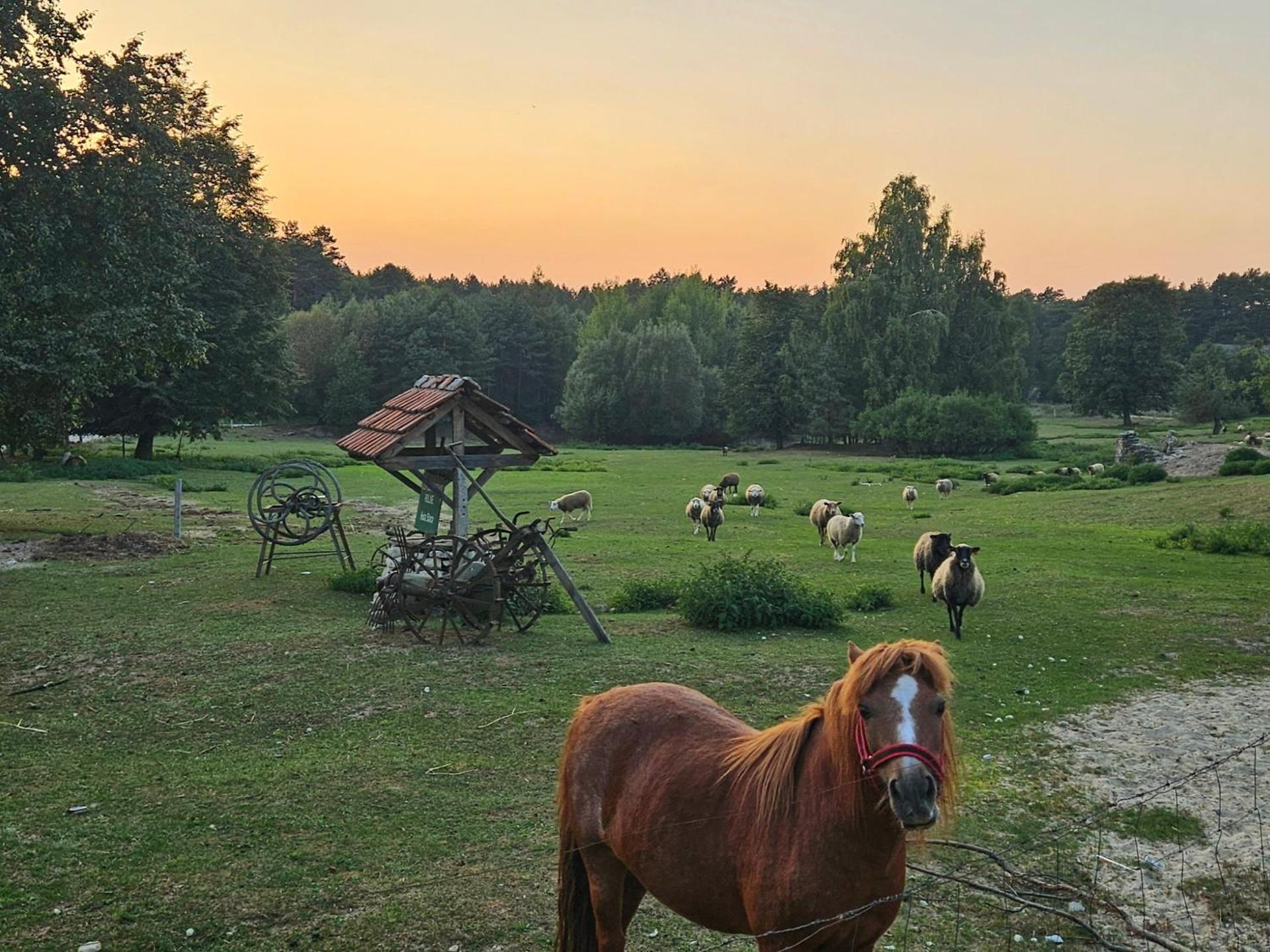 Agroturystyka Stara Huta