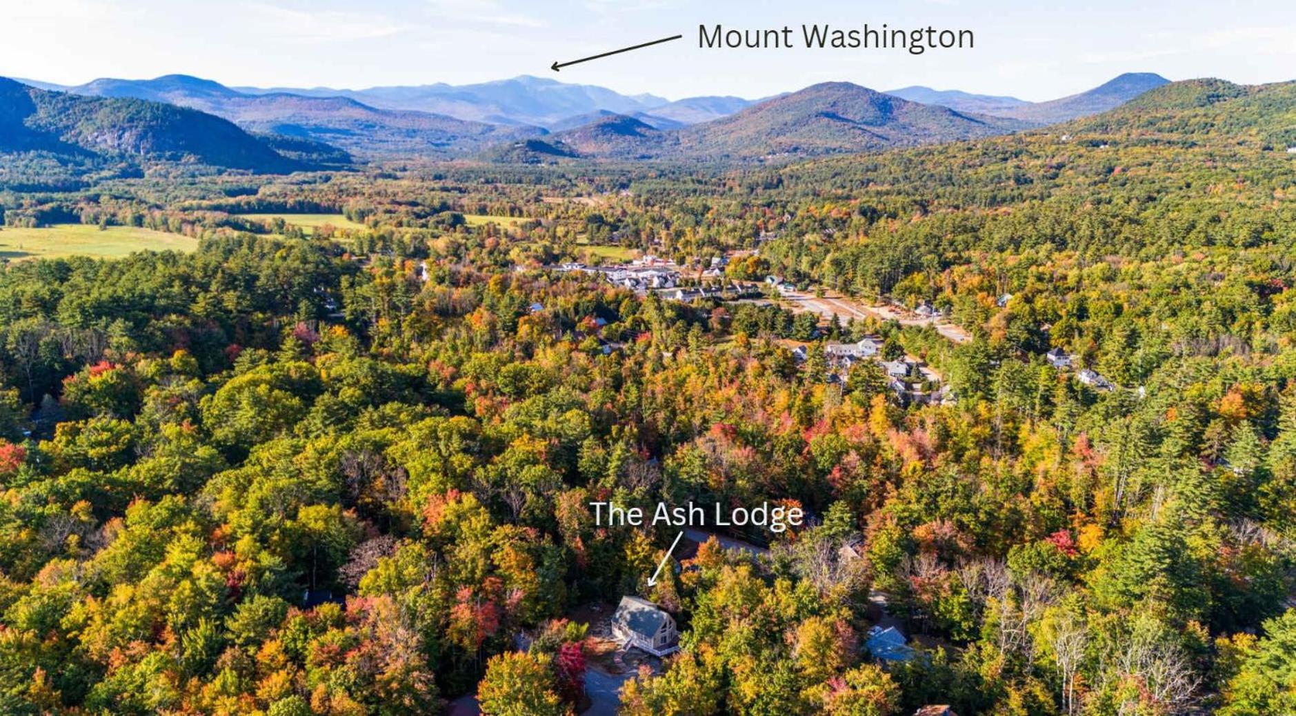 Minutes to Downtown & National Forest Ash Lodge