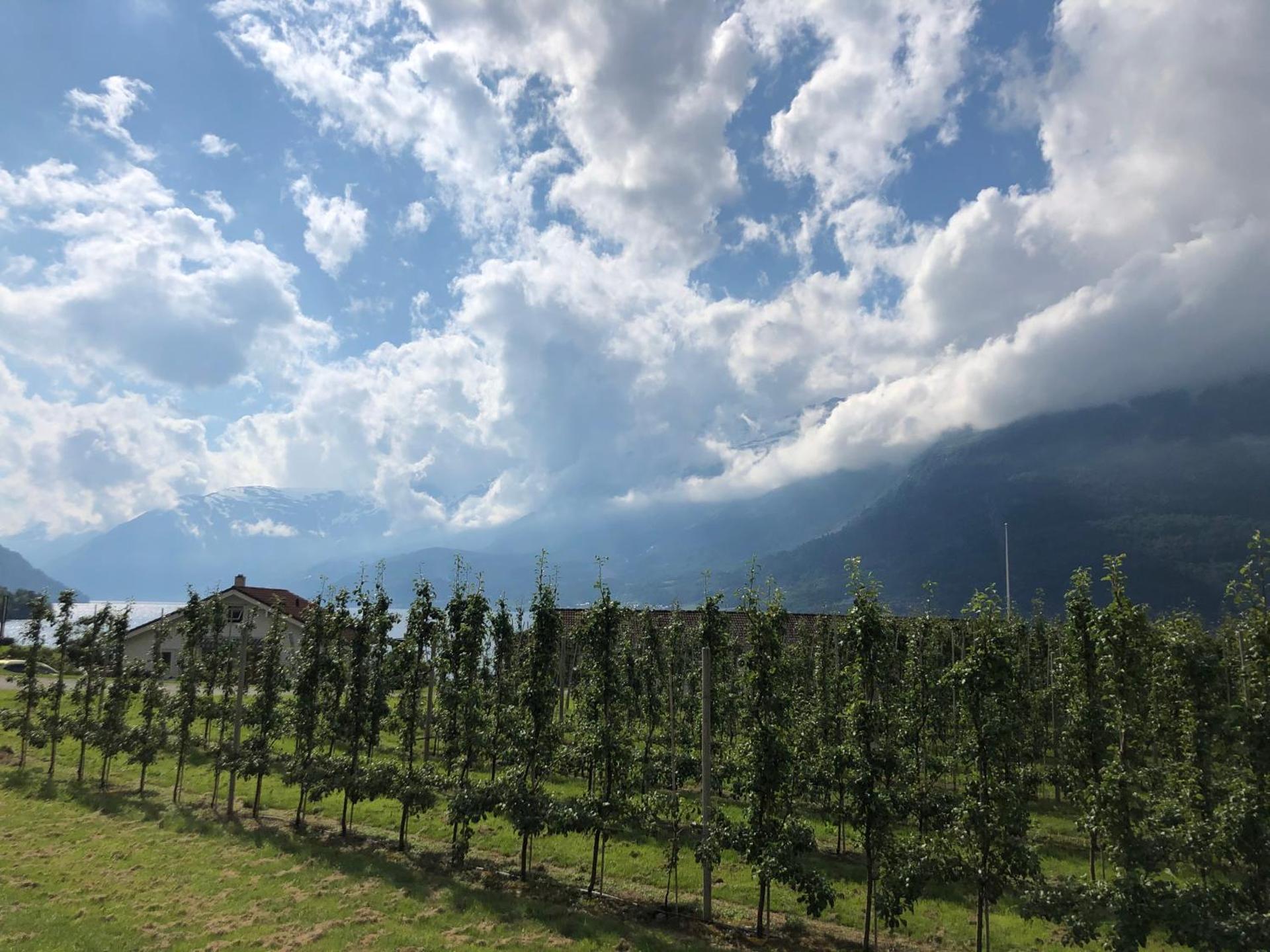 Røldal a home with a view