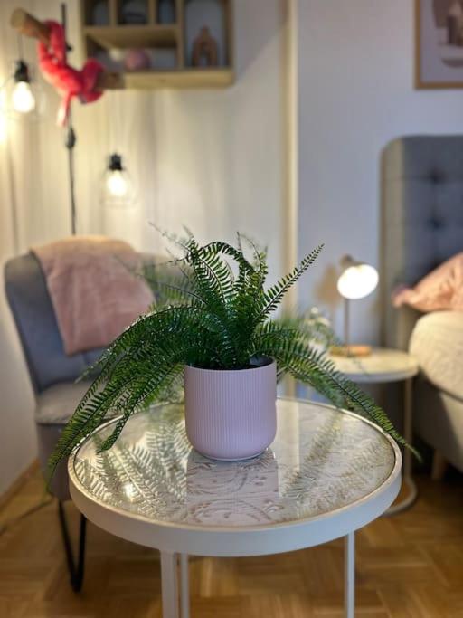 Wohlfühloase im Zentrum