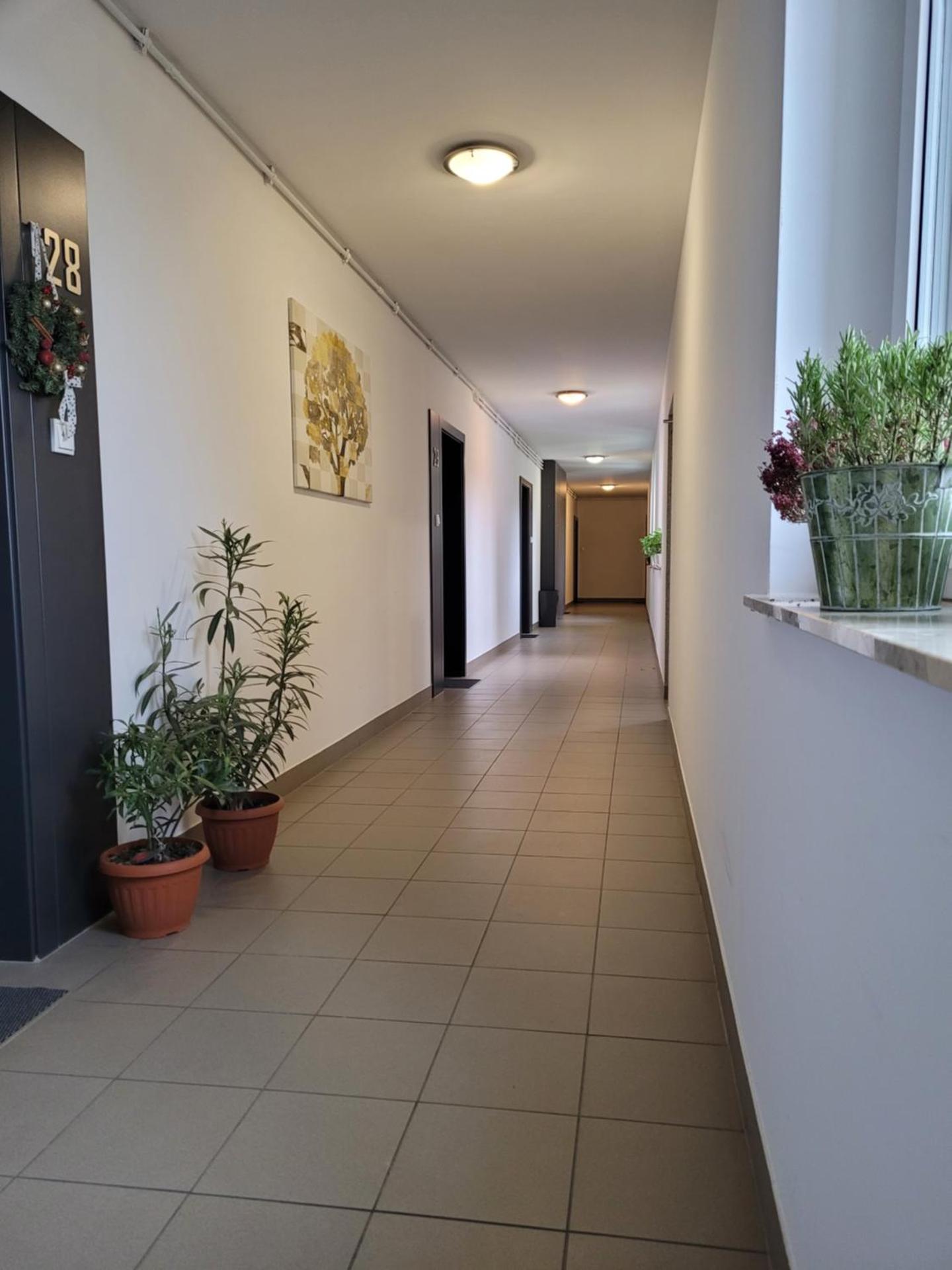 TK Apartments Namysłów