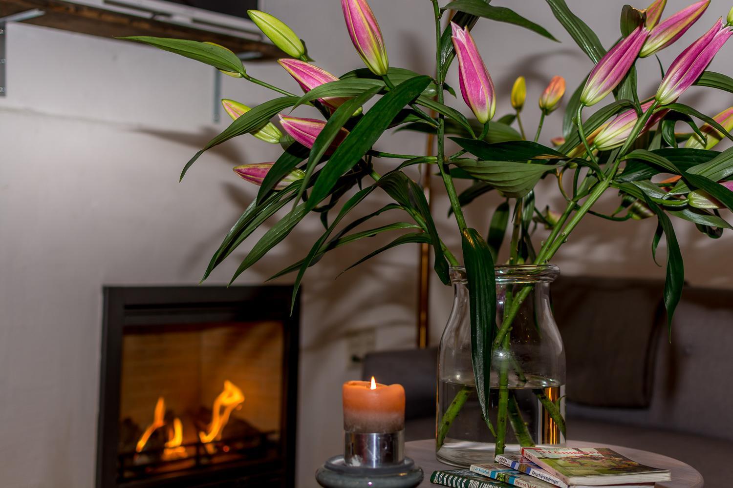 Aan de Holle Weg. Zeer landelijk gelegen verbouwde stal tot woning