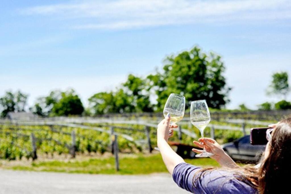 Charming Farmhouse in the City, Near Wine Country