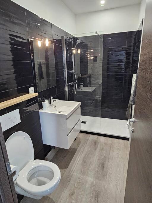 Belle Maison Loft patio jacuzzi clim Tours