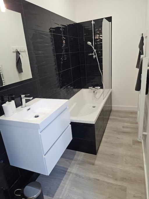 Belle Maison Loft patio jacuzzi clim Tours