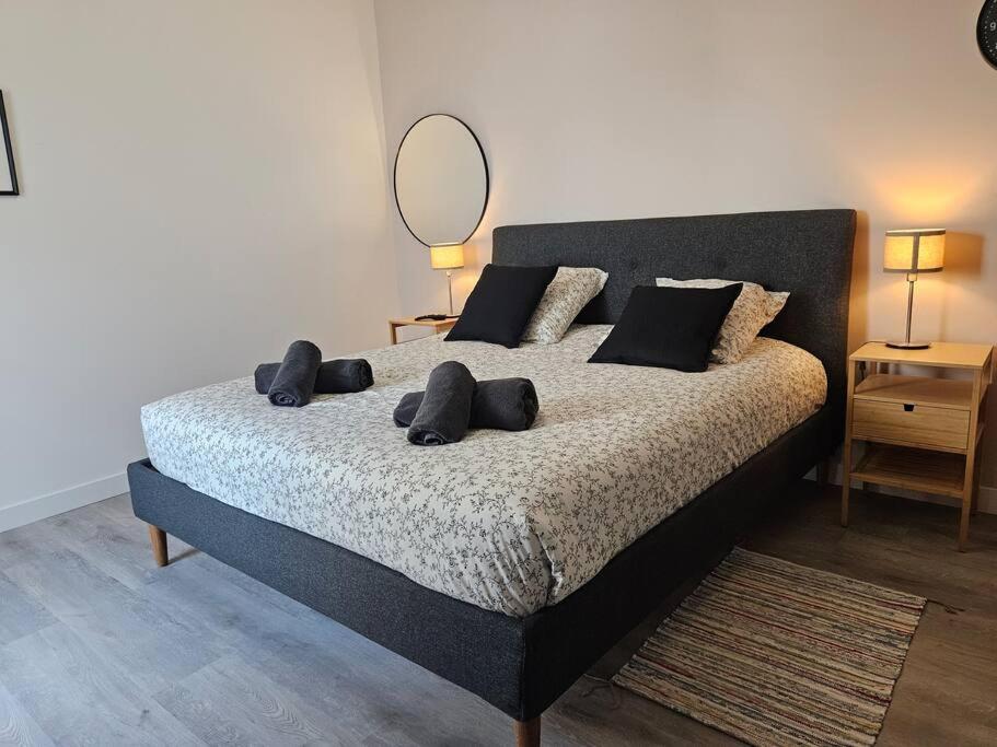 Belle Maison Loft patio jacuzzi clim Tours