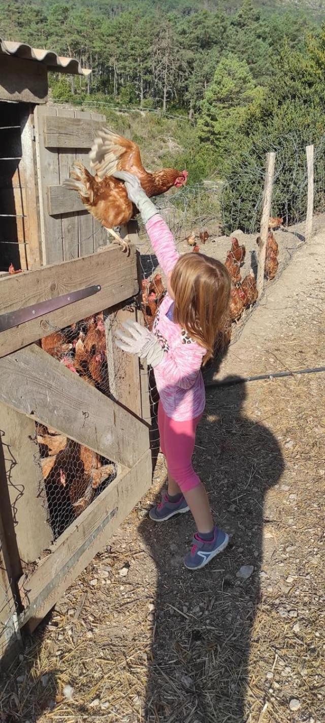 Domaine de Cruvelet Petit gite