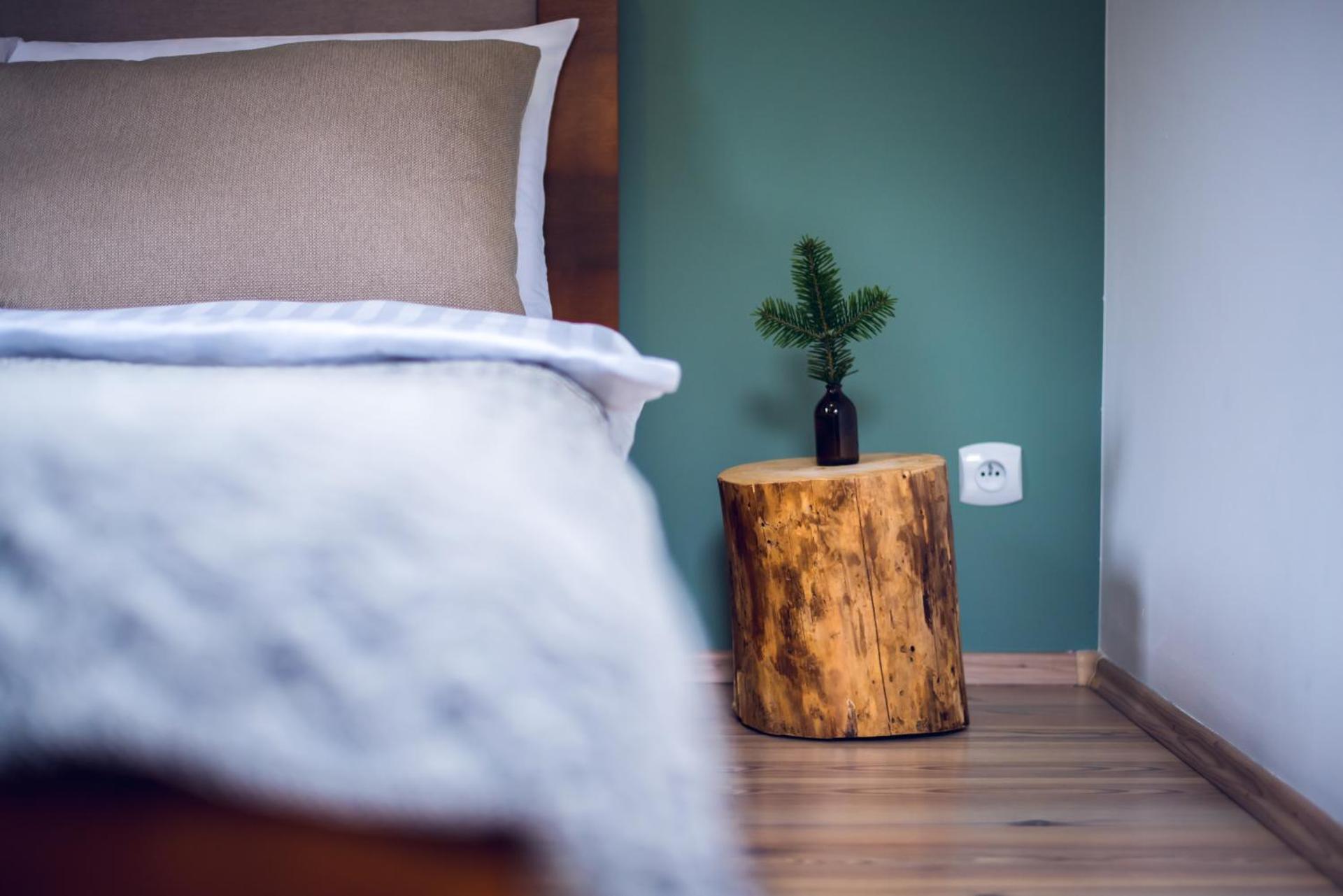 Apartament Śnieżny Międzygórze