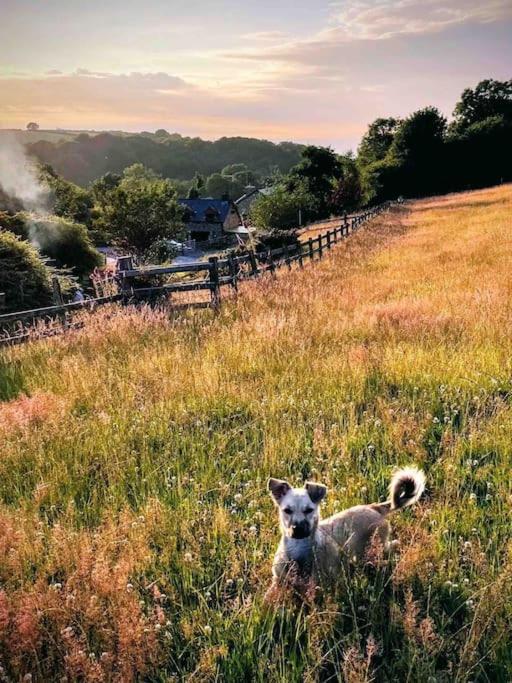 Beautiful Barn Conversion in West Wales