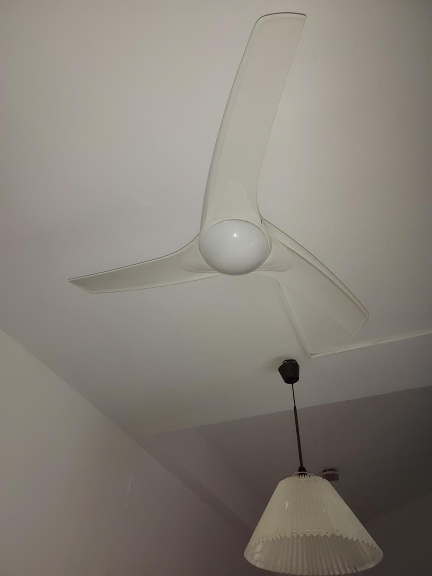 Patio Sevillano Flores