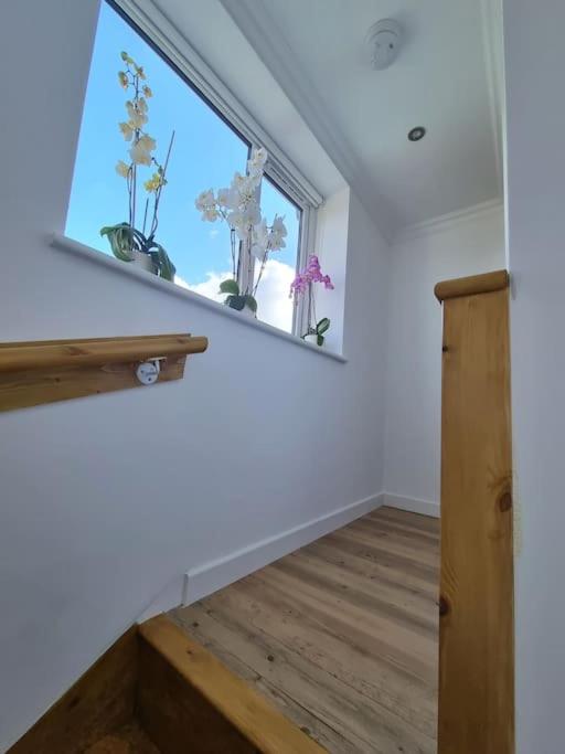 Nice flat for stay in and rest