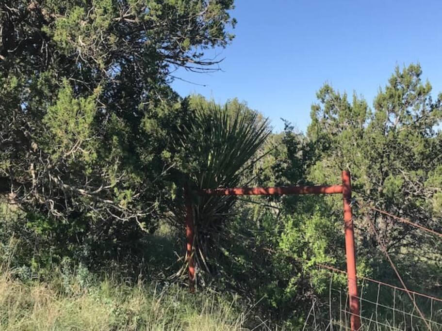 Cottonwood Creek Cabins - Alpine, TX