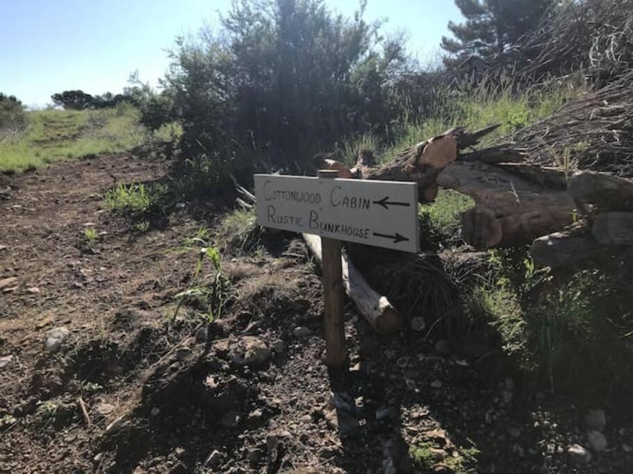 Cottonwood Creek Cabins - Alpine, TX