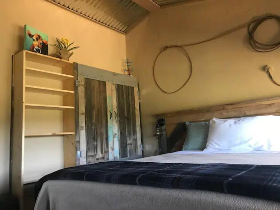 Cottonwood Creek Cabins - Alpine, TX