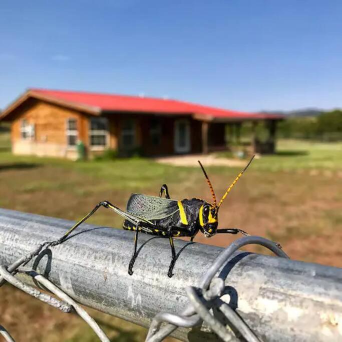 Cottonwood Creek Cabins - Alpine, TX