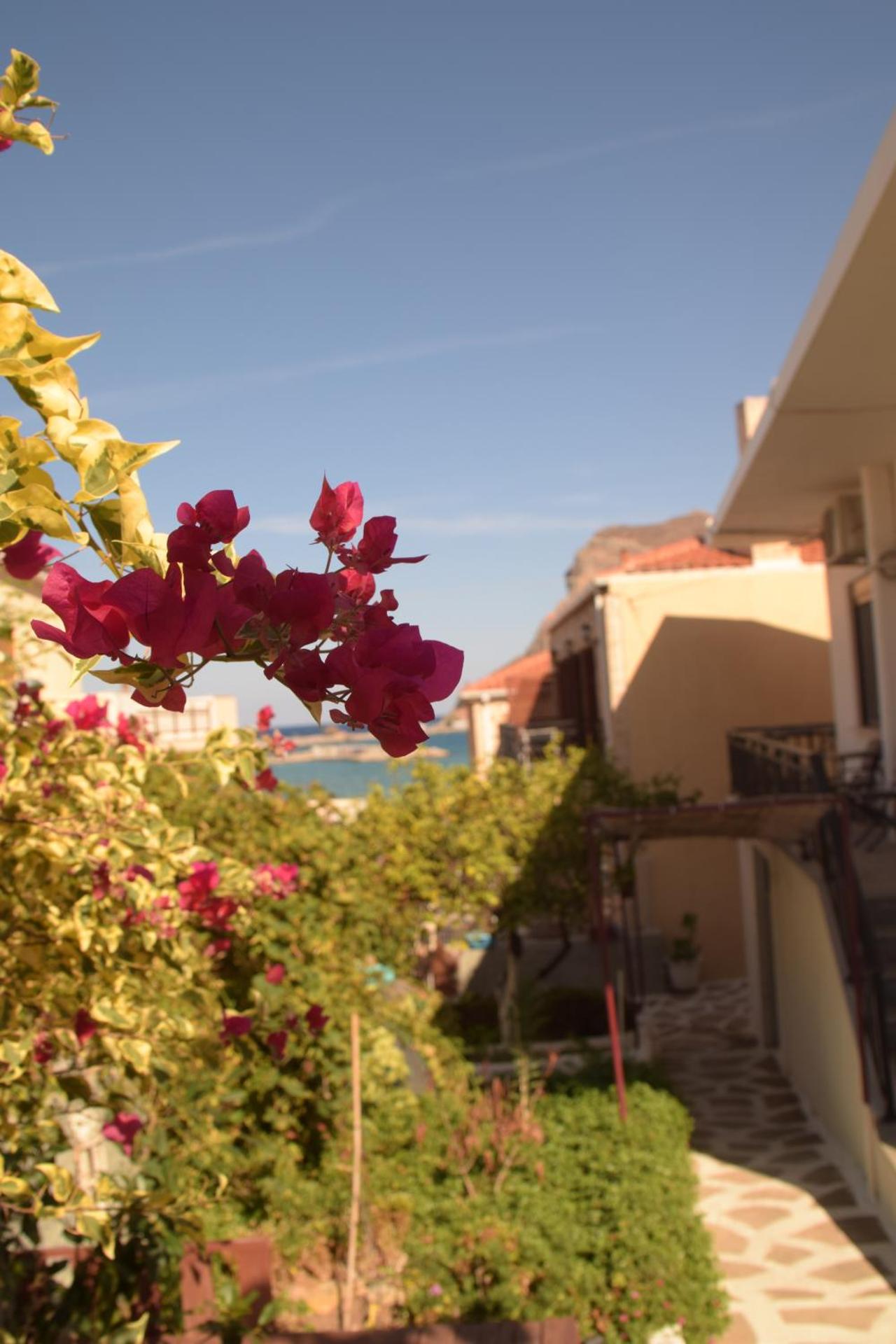 Myron & Gabby's House