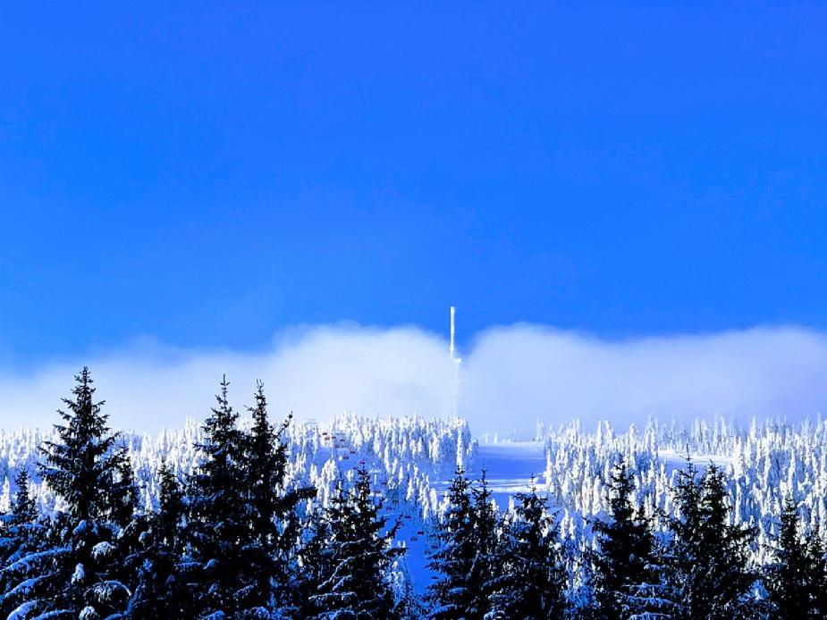 Ski Apartmán Salomon