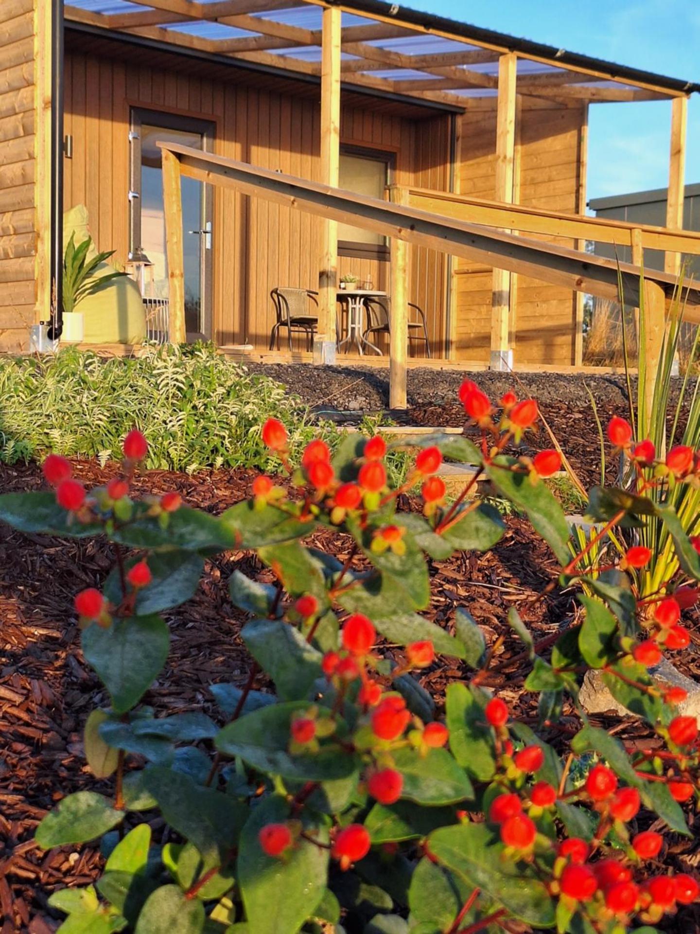 Pond residence Pine 2ppl Adults only