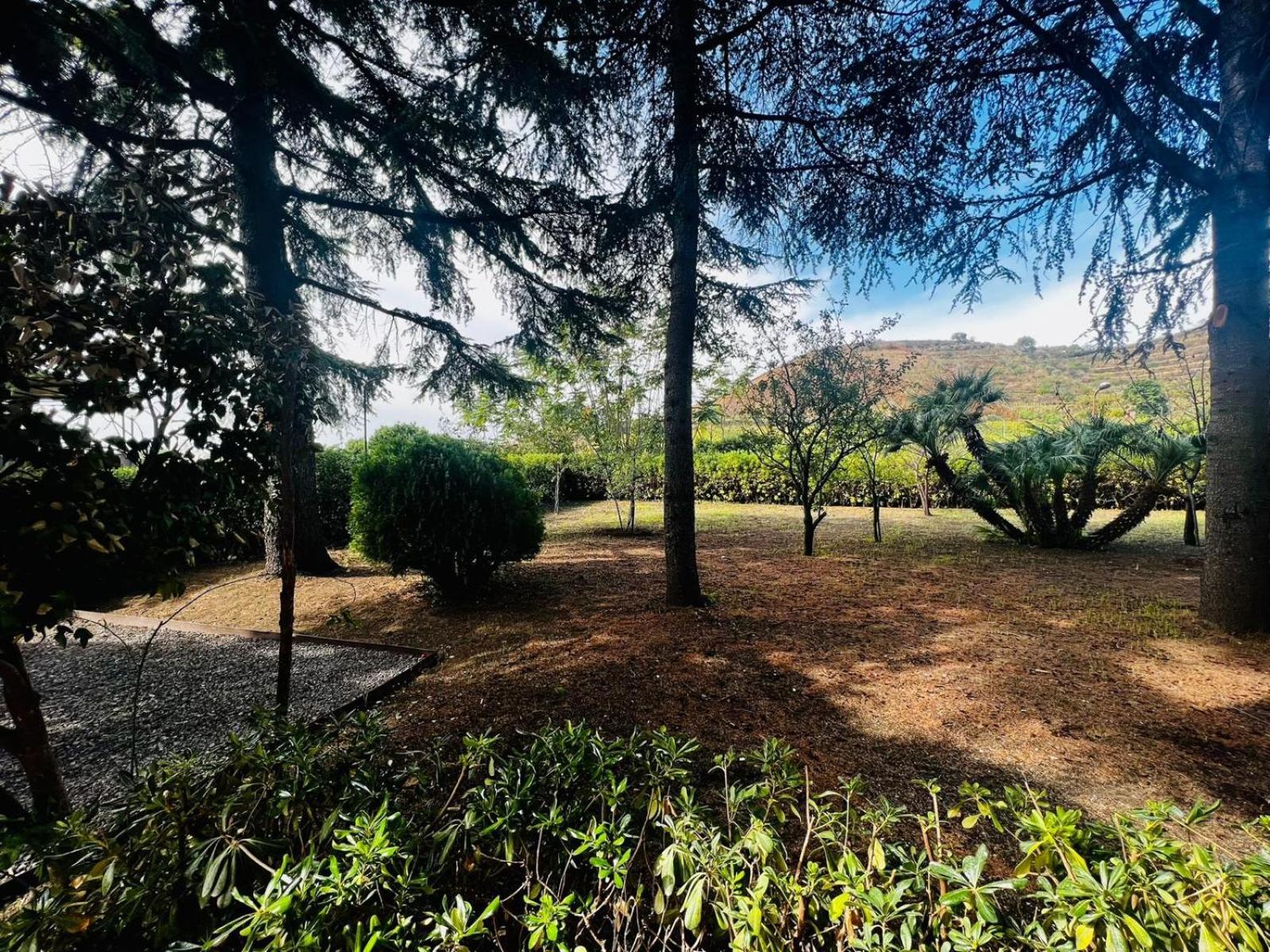 Sicily in Love - Rooms and Apartment - Pedara Catania Etna