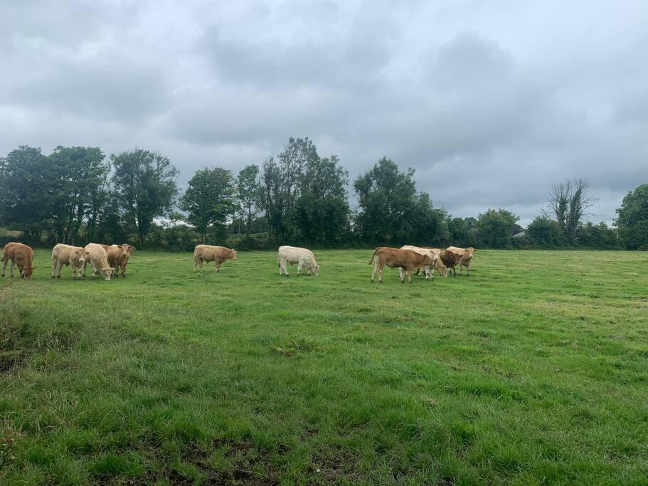 Fort View accommodation lisacul