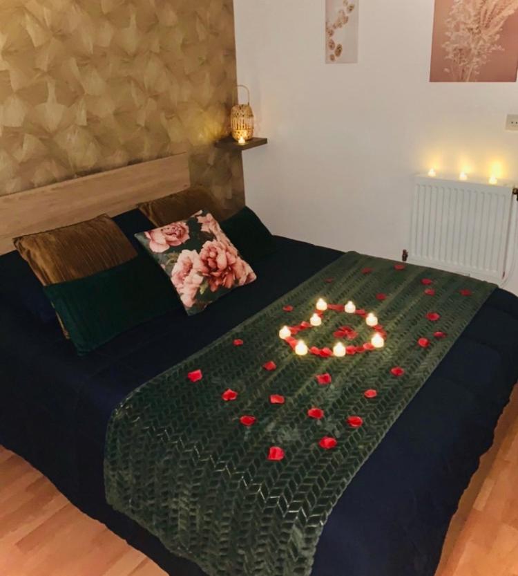 Chez SOPHIE, logement avec jacuzzi et salle cinéma