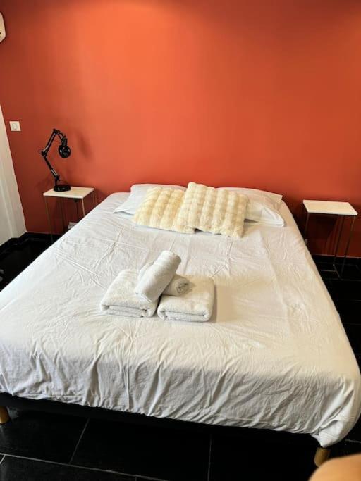 Grand Studio Centre Cannes