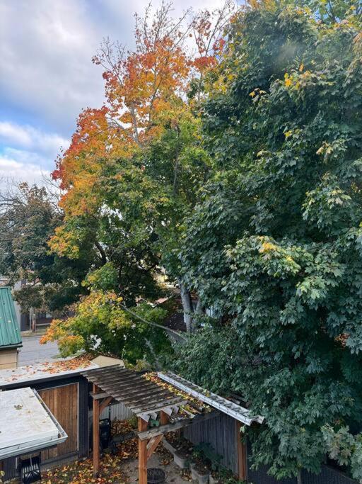 Mayor's Lake and Ski Suite