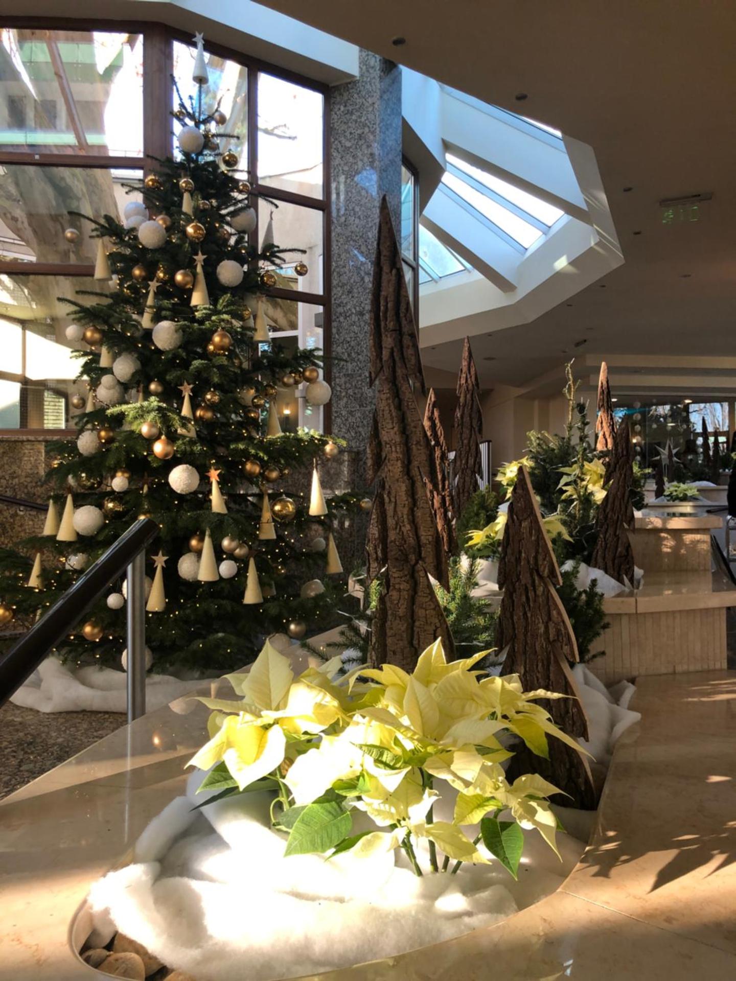 Spa Residence Carbona Apartman 104