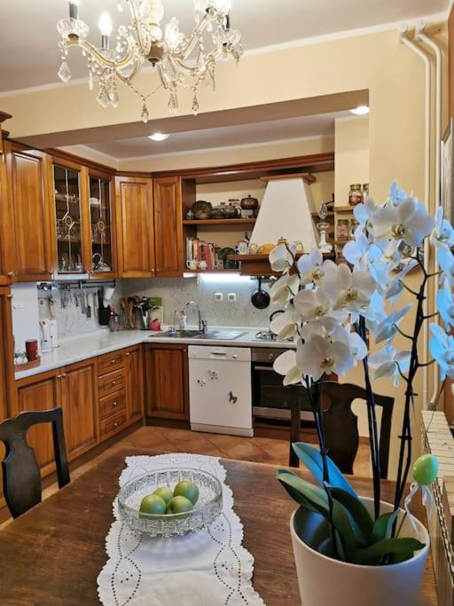 Ground floor homey apartment in a country home